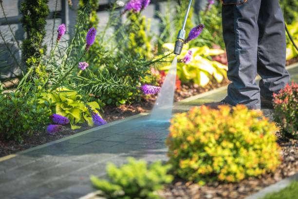 Best Animal Enclosure Cleaning  in Throop, PA